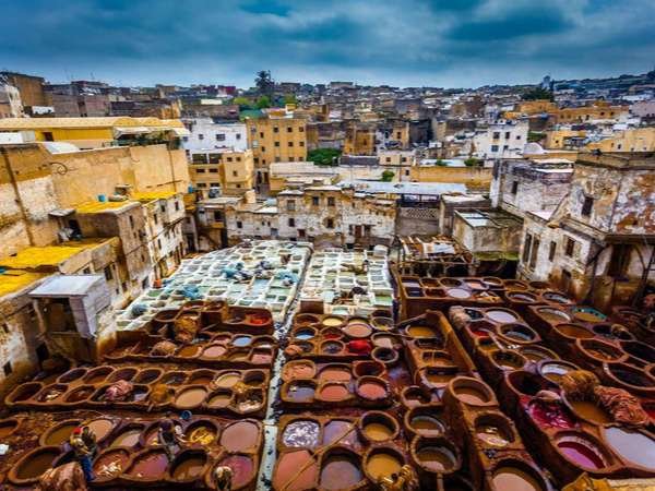fez