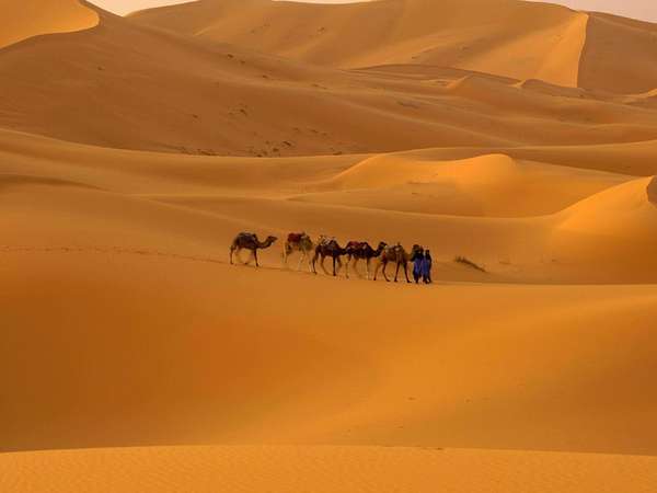 7-Day Fes to Marrakech Desert Tour