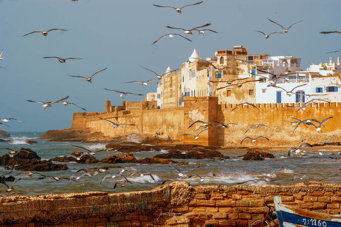 Private Day Trip to Essaouira from Marrakech