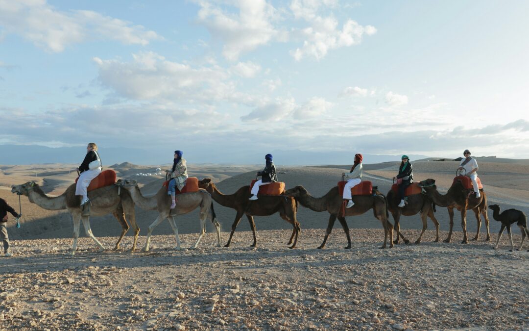 Private 1-Day Trip to Agafay Desert from Marrakech