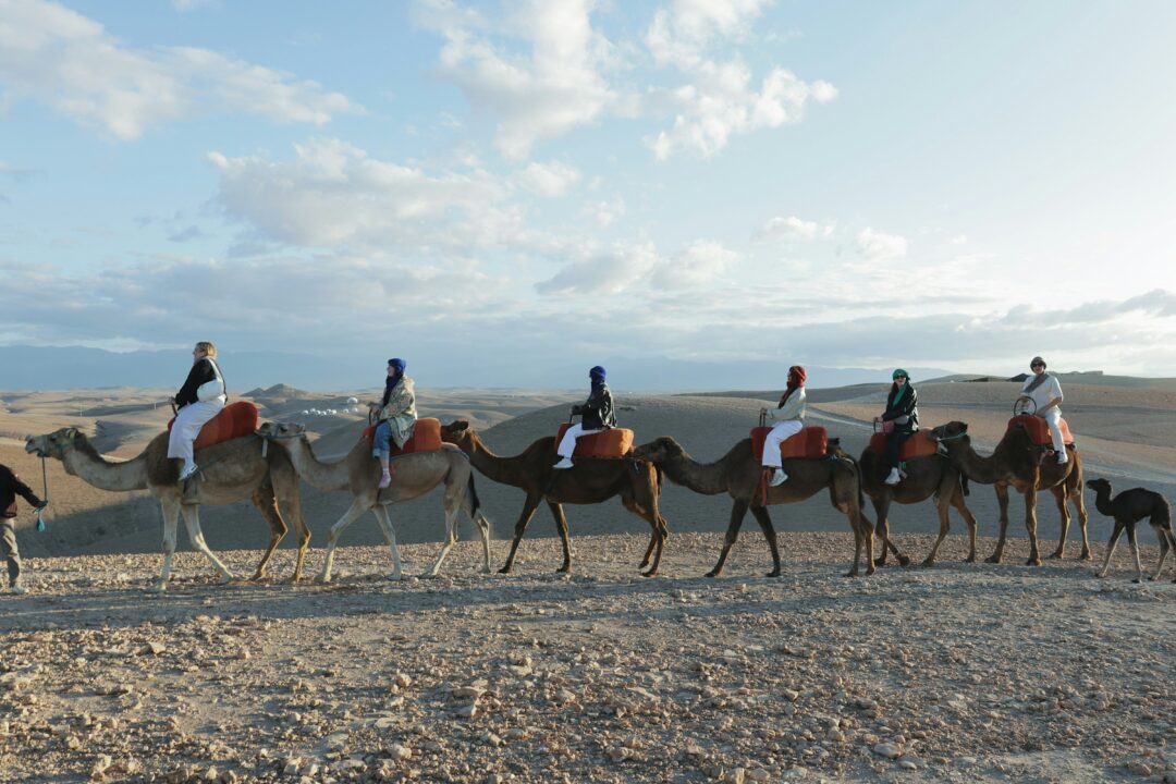 Private 1-Day Trip to Agafay Desert from Marrakech