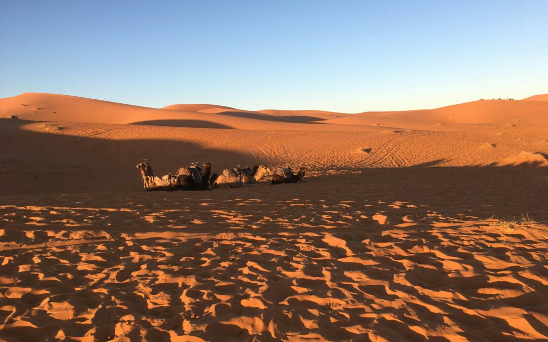 3-Day Marrakech to Merzouga Desert Adventure