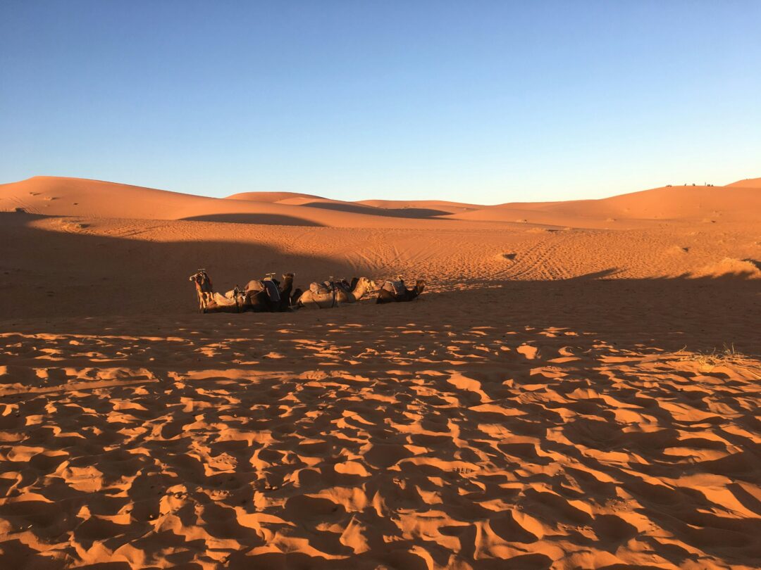 3-Day Marrakech to Merzouga Desert Adventure