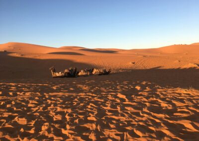 3-Day Marrakech to Merzouga Desert Adventure