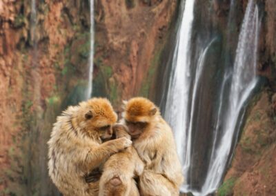 Private 1-Day Trip to Ouzoud Waterfalls from Marrakech