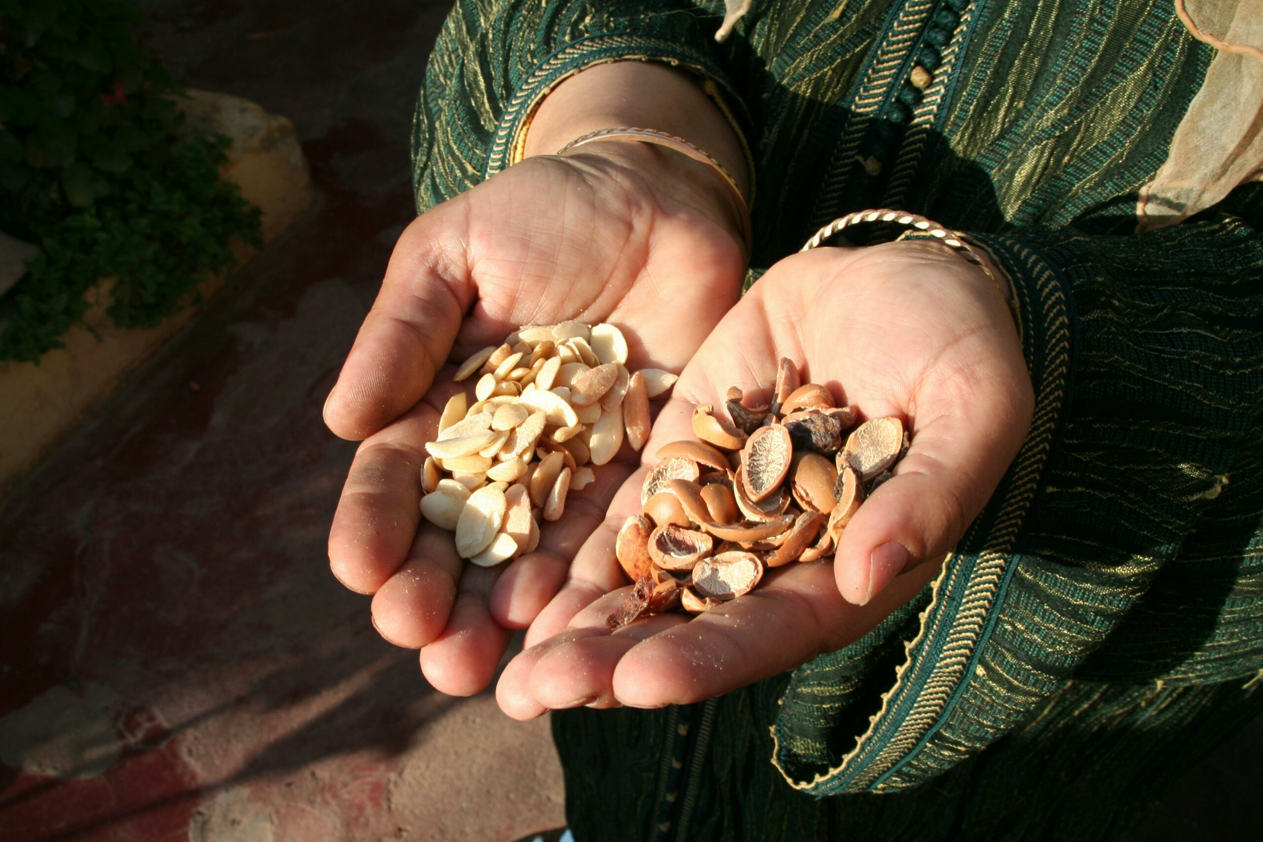 authentic Moroccan argan oil