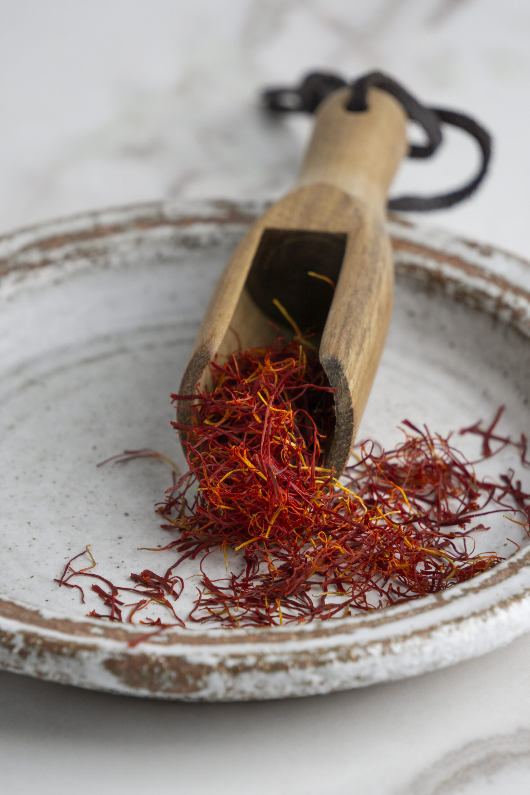 Saffron Harvest in Taliouine
